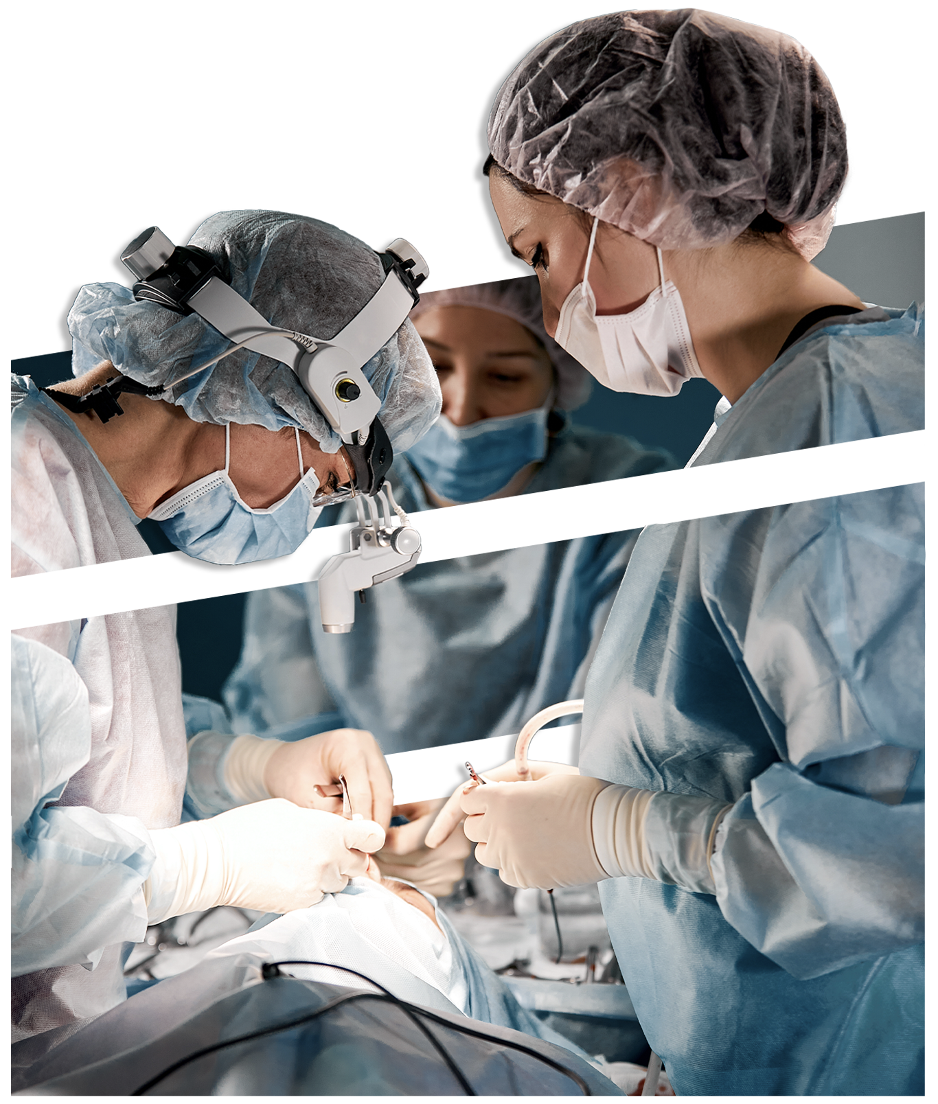 what-she-trust-homepage-image2.5